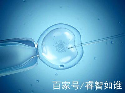 妇科